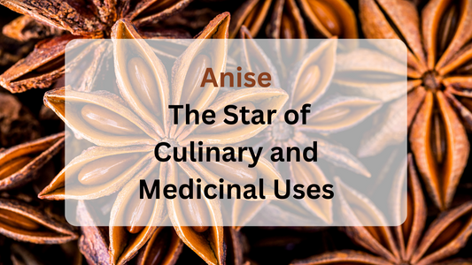 Anise: The Star of Culinary and Medicinal Uses